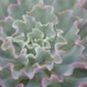 Meet your Posher, Tamara